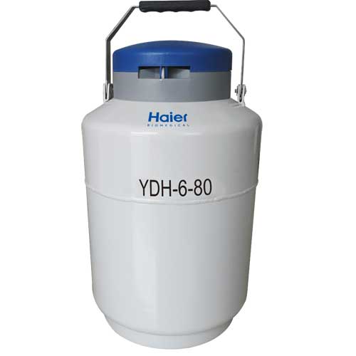 18-2、YDH-6-80.jpg